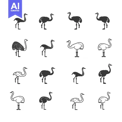 Aset desain premium: A Set of Sixteen Ostrich Silhouettes in Black and White