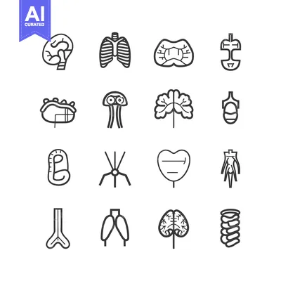 Aset desain premium: A Set of Sixteen Outline Icons Depicting Human Organs