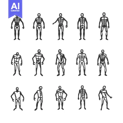 Aset premium populer: A Set of Skeletal and Muscular Anatomical Figures