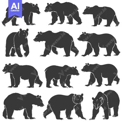 Aset premium populer: A Set of Twelve Black Bear Silhouettes in Various Poses