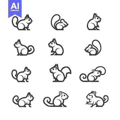 Popular premium asset: A Set of Twelve Black Line Drawings of Squirrels in Various Poses