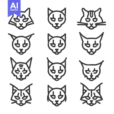 Aset premium populer: A Set of Twelve Line Art Cat Head Illustrations