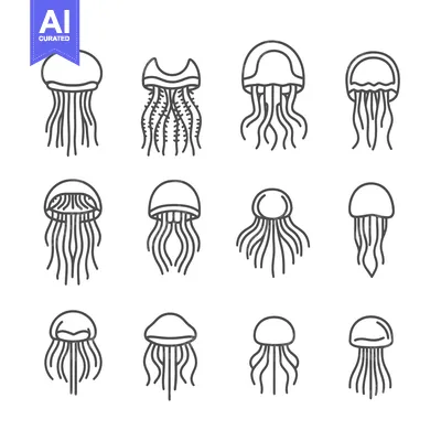 A Set of Twelve Line Drawings of Jellyfish