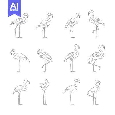 Aset premium populer: A Set of Twelve Line Drawings of Pink Flamingos in Different Poses