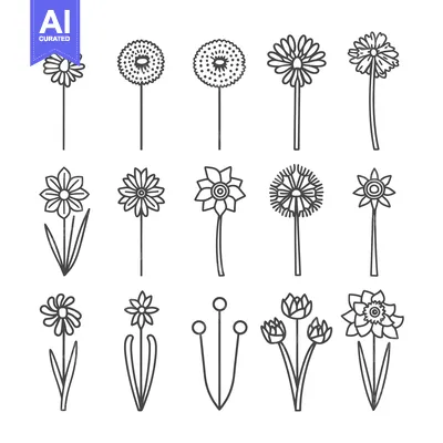 Aset premium populer: A Set of Twelve Line Drawings of Various Flowers