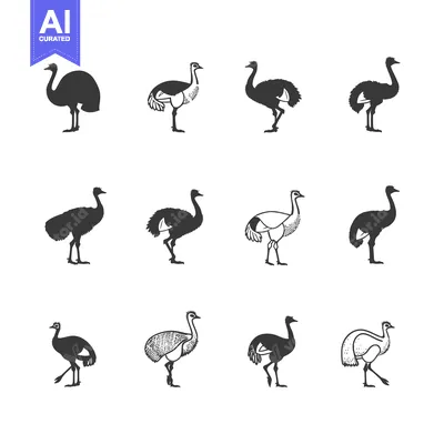 Aset premium populer: A Set of Twelve Ostrich Silhouettes in Different Poses