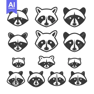 Aset premium populer: A Set of Twelve Raccoon Faces in Various Sizes and Styles