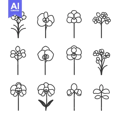 Aset desain premium: A Set of Twelve Simple Line Drawings of Orchids