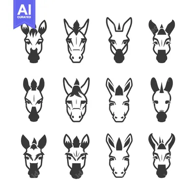 Popular premium asset: A Set of Twelve Zebra and Donkey Heads in Black and White
