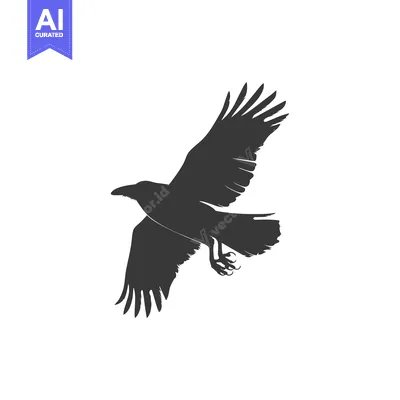 Premium design asset: A Silhouette of a Raven in Flight