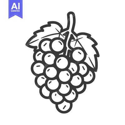 Aset premium populer: A Simple Black and White Line Drawing of a Bunch of Grapes
