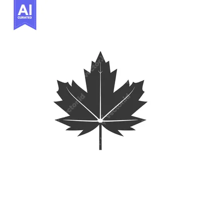 Aset premium populer: A Simple Black and White Silhouette of a Maple Leaf