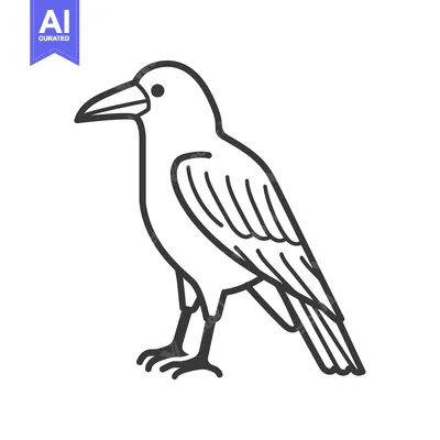 Aset premium populer: A Simple Line Drawing of a Black Crow