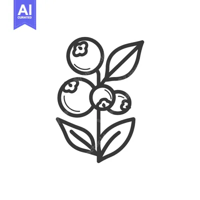 Premium design asset: A simple line drawing of a blueberry bush with three blueberries