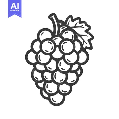Aset desain premium: A Simple Line Drawing of a Bunch of Grapes