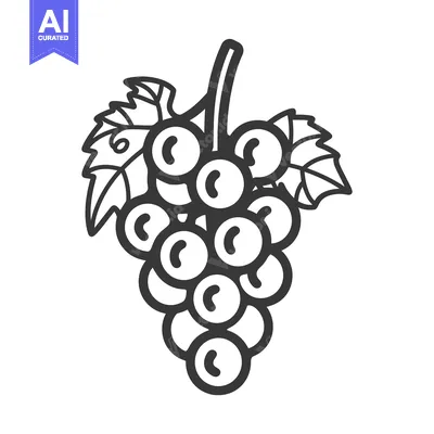 Popular premium asset: A Simple Line Drawing of a Bunch of Grapes with Leaves