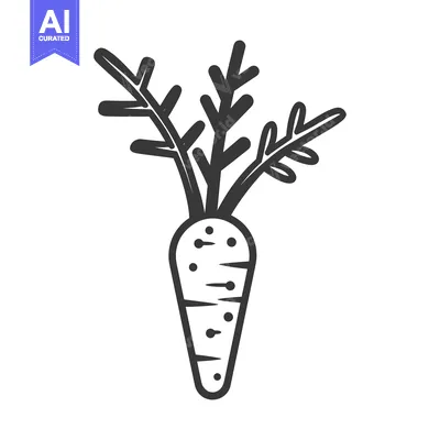 Aset premium populer: A Simple Line Drawing of a Carrot with Green Tops