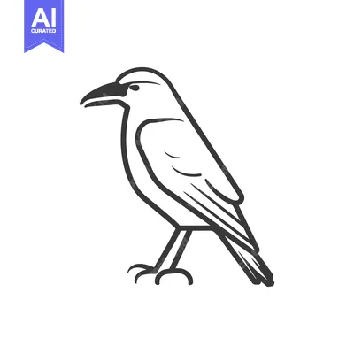 Aset desain premium: A Simple Line Drawing of a Crow