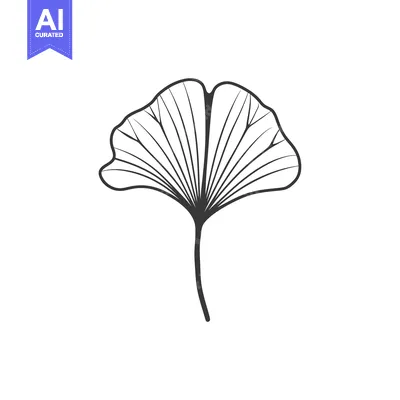 Aset desain premium: A Simple Line Drawing of a Ginkgo Biloba Leaf