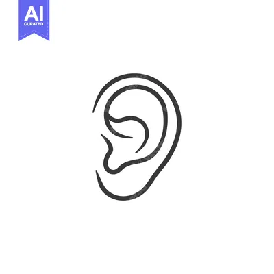 Aset desain premium: A simple line drawing of a human ear