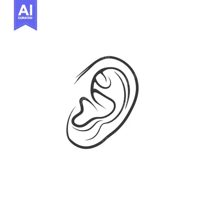 Aset premium populer: A Simple Line Drawing of a Human Ear