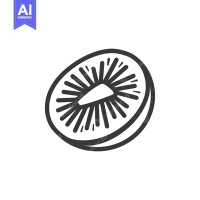 Aset desain premium: A Simple Line Drawing of a Kiwi Fruit Slice