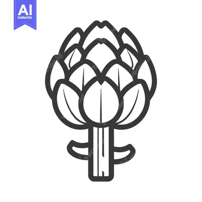 Popular premium asset: A simple line drawing of an artichoke