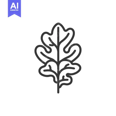 Aset premium populer: A Simple Line Drawing of an Oak Leaf