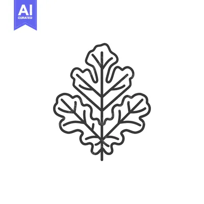 Popular premium asset: A Simple Line Drawing of an Oak Leaf