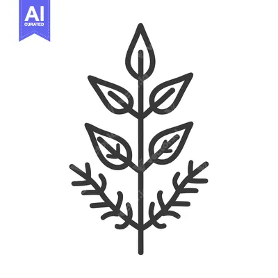 Aset desain premium: A Simple Line Drawing of a Plant with Leaves and Stem