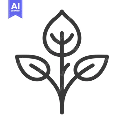 Popular premium asset: A Simple Line Drawing of a Plant with Three Leaves