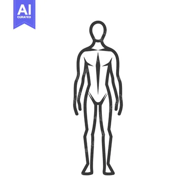 Aset premium populer: A simple outline illustration of a human figure