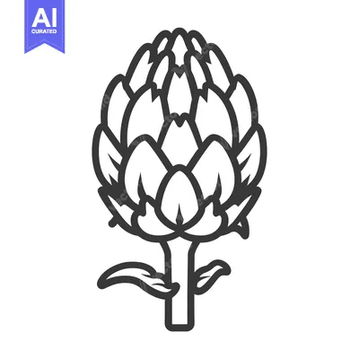 Popular premium asset: A Single Artichoke with Leaves and Stem in Outline