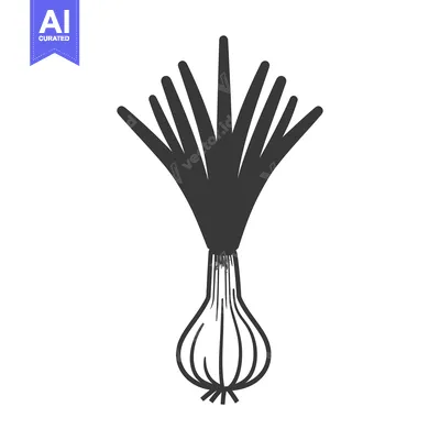 Popular premium asset: A Single Black and White Outline Illustration of a Scallion