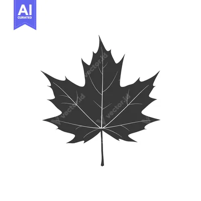 Aset premium populer: A Single Black Silhouette of a Maple Leaf
