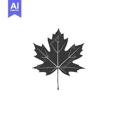 Aset premium populer: A Single Black Silhouette of a Maple Leaf