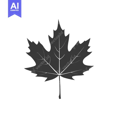 Premium design asset: A Single Black Silhouette of a Maple Leaf
