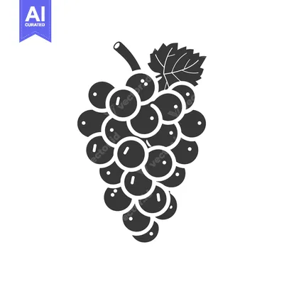 Aset premium populer: A Single Bunch of Grapes with a Leaf in Silhouette
