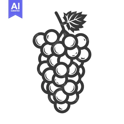 Popular premium asset: A Single Bunch of Grapes with a Leaf on a Vine
