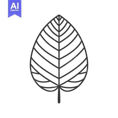 Aset desain premium: A Single, Detailed Outline of a Leaf with Veins