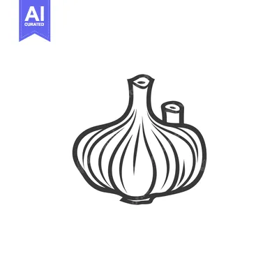 Premium design asset: A Single Garlic Bulb Illustrated in Black and White