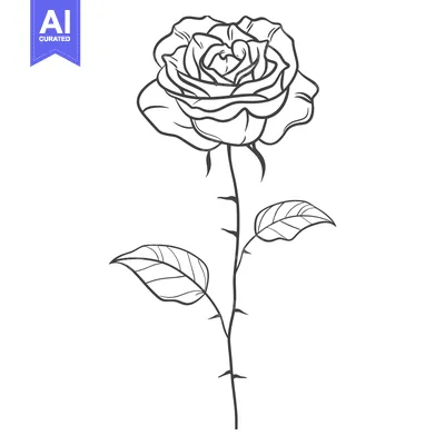 Aset premium populer: A Single Line Drawing of a Rose with Thorns and Leaves
