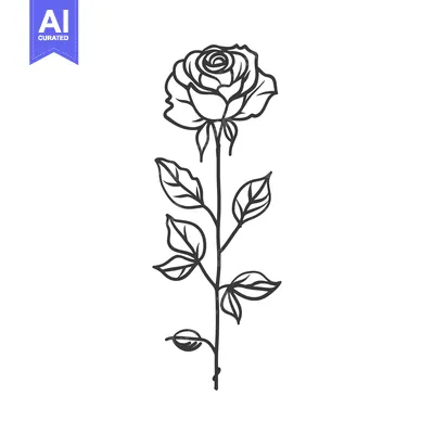 Aset premium populer: A Single Rose with Stem and Leaves in Black and White