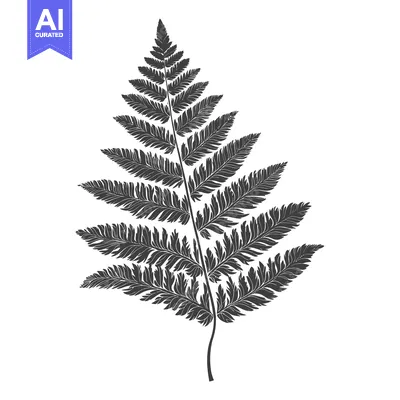 Aset desain premium: A Single Silhouetted Fern Leaf on a White Background