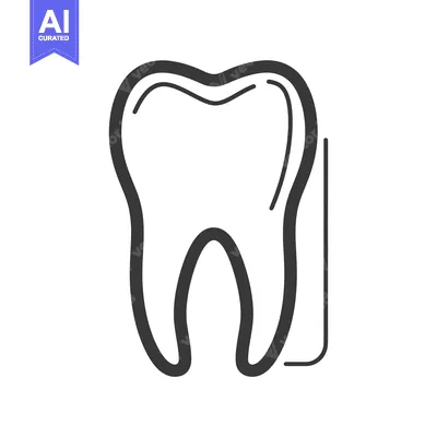 Popular premium asset: A single, simple line drawing of a tooth