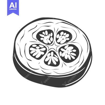 Aset desain premium: A Single Slice of a Round Fruit with Four Seeds