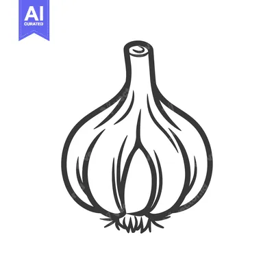 Aset desain premium: A Single Whole Garlic Bulb, Hand-Drawn in Black Outline