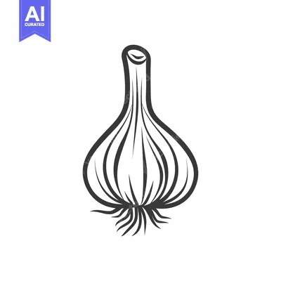 Popular premium asset: A Single Whole Garlic Bulb with Roots