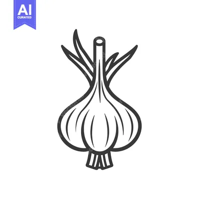 Popular premium asset: A Single, Whole Garlic Bulb With Roots and Stem