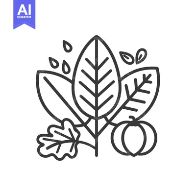 Aset premium populer: Black and white drawing of leaves seeds and a pumpkin